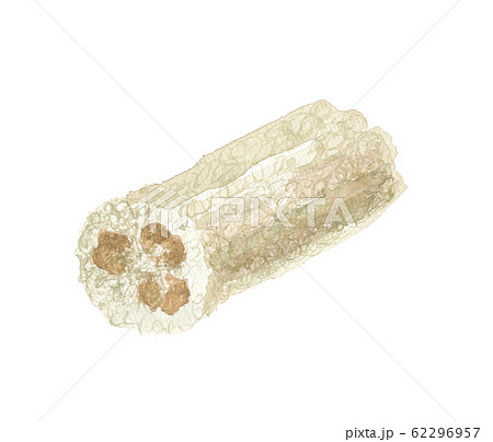 へちま　乾燥 62296957