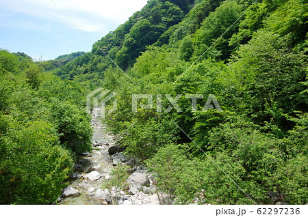 尾白川渓谷(山梨県北杜市) 尾白川渓谷(山梨県北杜市) 62297236