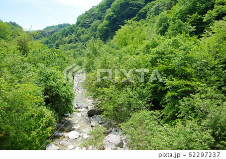 尾白川渓谷(山梨県北杜市) 尾白川渓谷(山梨県北杜市) 62297237