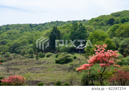 栃木県鹿沼市 古峰ヶ原高原 (5月) 栃木県鹿沼市 古峰ヶ原高原 (5月) 62297254