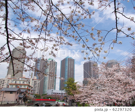 佃島(東京都中央区) 佃島(東京都中央区) 62297320