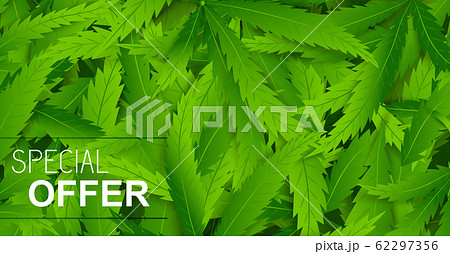 Sale realistic cannabis card template Sale realistic cannabis card template 62297356