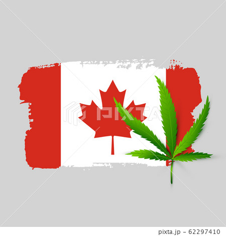 Canada Flag With Realistic Cannabisのイラスト素材