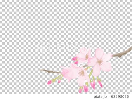 桜(水彩) 62298026