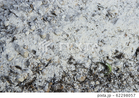 畑にまかれた苦土石灰 畑にまかれた苦土石灰 62298057