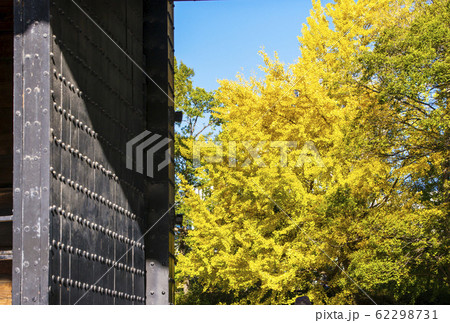 大阪城の紅葉 銀杏と青屋門 秋の大阪城公園 大阪城の紅葉 銀杏と青屋門 秋の大阪城公園 62298731