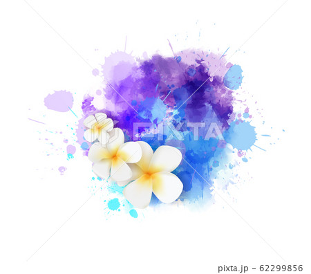 Abstract paint splash with frangipani flowers Abstract paint splash with frangipani flowers 62299856