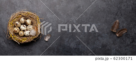 Easter greeting card with quail eggs 62300171