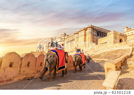 Tourists on the elephants in Amber Fort, Jaipur, Rajasthan, India Tourists on the elephants in Amber Fort, Jaipur, Rajasthan, India 62301218