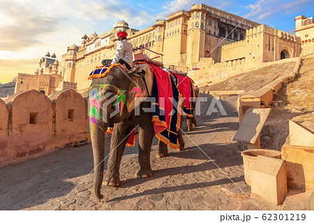 Riding an elephant in Amber Fort, Jaipur, Rajasthan, India 62301219