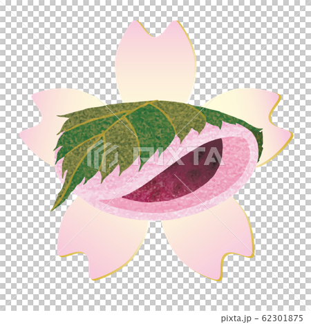 春季日本甜點| Chomeiji Sakura Mochi_Kanto_Background櫻花粉 春季日本甜點| Chomeiji Sakura Mochi_Kanto_Background櫻花粉 62301875