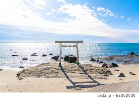 【愛知県】つぶて浦 62303909