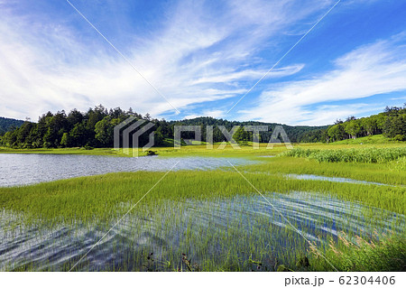 夏の尾瀬沼湖畔と大江湿原 62304406