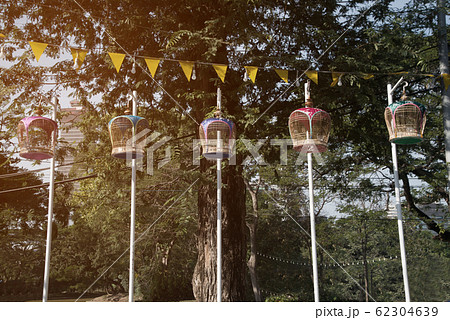Bird cage hang on a pole in a park.  62304639
