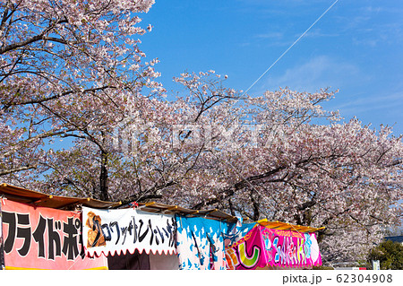 母智丘神社の桜祭り 62304908