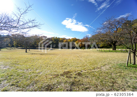 紅葉の狭山公園 太陽広場 紅葉の狭山公園 太陽広場 62305364