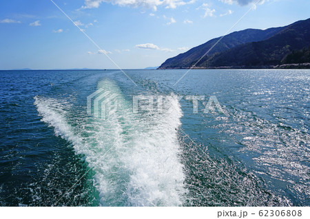 海津大崎　桜　琵琶湖 62306808