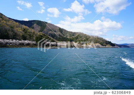 海津大崎　桜　琵琶湖 62306849