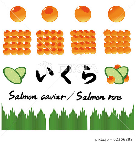 いくらの粒のイラストセット バラン きゅうりのイラスト素材