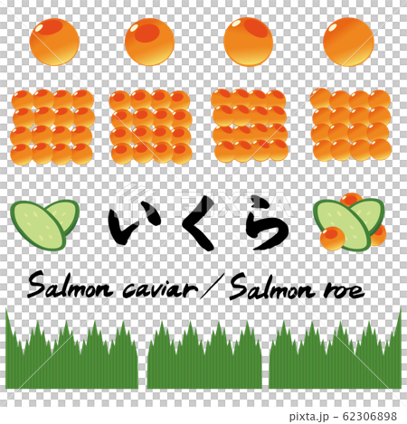 いくらの粒のイラストセット バラン きゅうりのイラスト素材