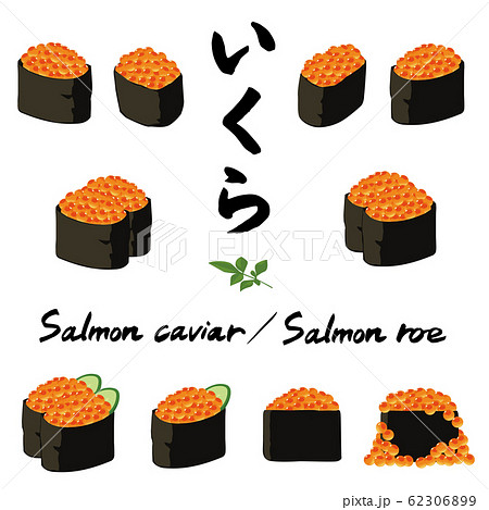 いろいろないくらの軍艦 イラストセットのイラスト素材