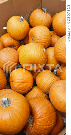 Abstract Several Pumpkin Patch Background 62307315