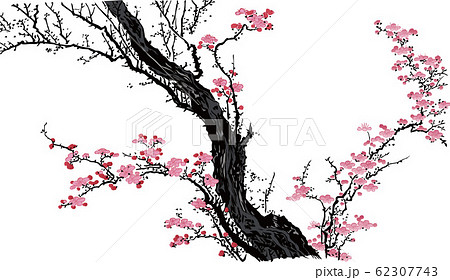 浮世絵 桜 その15のイラスト素材 [62307743] - PIXTA