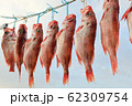 魚 乾燥 食べ物 62309754