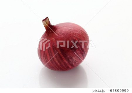 紫タマネギ 62309999