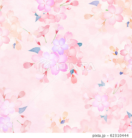 背景 和 和紙 和風 和柄 春 桜のイラスト素材