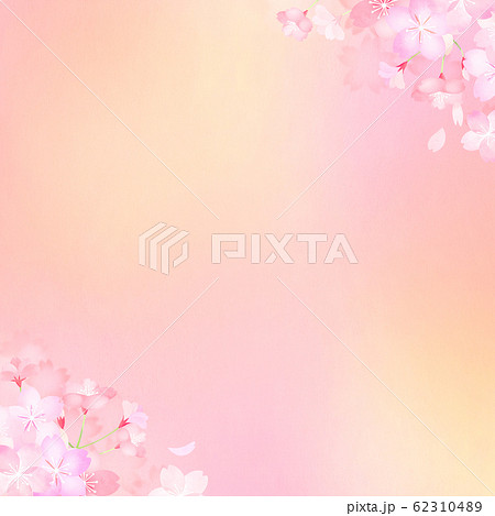 背景 和 和紙 和風 和柄 春 桜のイラスト素材