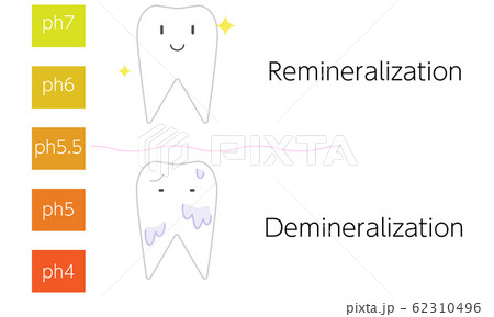 再石灰化と脱灰のpH値のイメージイラスト 62310496