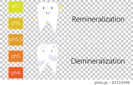 再石灰化と脱灰のpH値のイメージイラスト 62310496