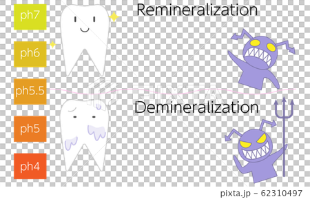 通過再礦化和脫礦質的pH值顯示牙齒和齲齒的圖像 62310497