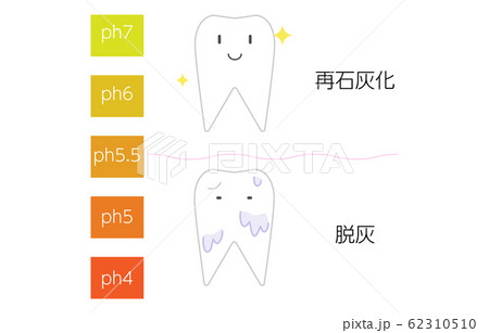 再石灰化と脱灰のpH値のイメージイラスト 再石灰化と脱灰のpH値のイメージイラスト 62310510