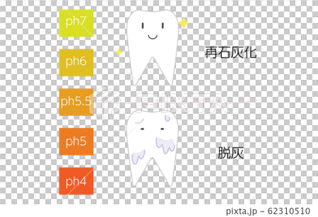 再石灰化と脱灰のpH値のイメージイラスト 再石灰化と脱灰のpH値のイメージイラスト 62310510