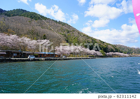 海津大崎　桜　琵琶湖 62311142