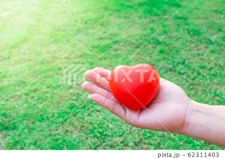Red heart in the palm of the hand, in the Red heart in the palm of the hand, in the 62311403