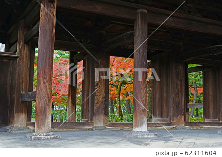 京都　東山　建仁寺　紅葉 62311604