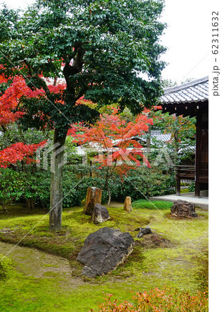 京都 東山 建仁寺 紅葉 京都 東山 建仁寺 紅葉 62311632