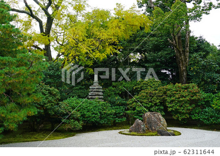 京都 東山 建仁寺 紅葉 京都 東山 建仁寺 紅葉 62311644