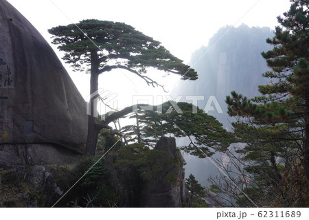 世界遺産　黄山　迎客松 62311689