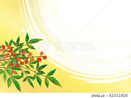 南天　正月　冬　背景素材 62311920