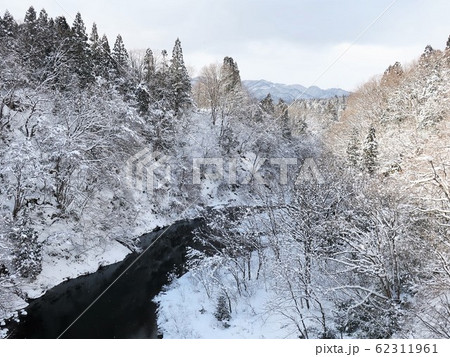 森林 川 雪景色 森林 川 雪景色 62311961