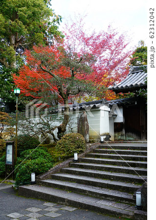 京都　東山　泉涌寺　雲龍院　紅葉 62312042