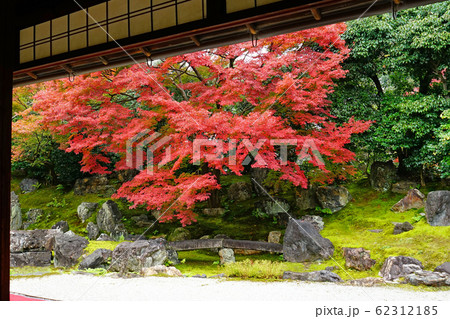 京都 東山 圓徳院 紅葉 京都 東山 圓徳院 紅葉 62312185