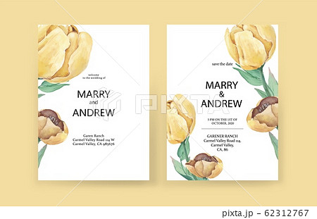 Yellow tulip flowers and leaves on white background in minimalist style. Yellow tulip flowers and leaves on white background in minimalist style. 62312767