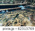 Natural river in the forest 62313769