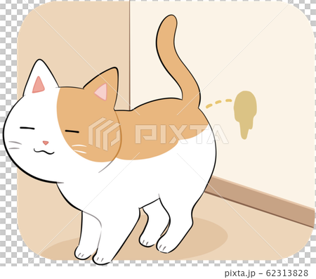 Cat spraying behavior Cat spraying behavior 62313828