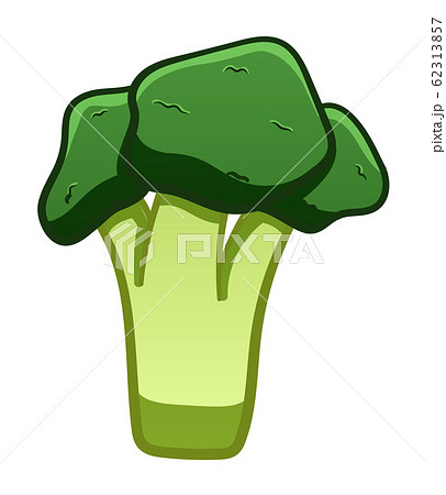 Green cartoon style broccoli on white background 62313857